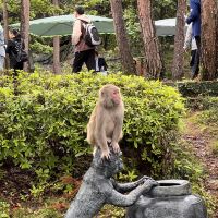 評論圖片 1