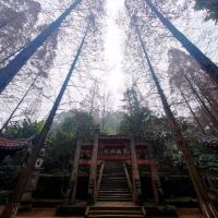 評論圖片 3