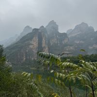 評論圖片 7
