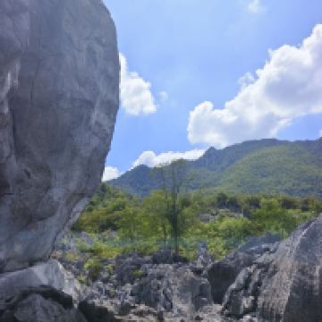 評論圖片 6