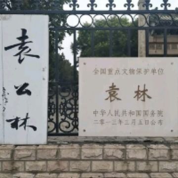 評論圖片 2