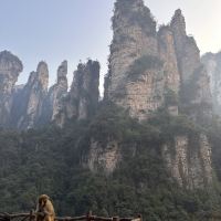 評論圖片 5