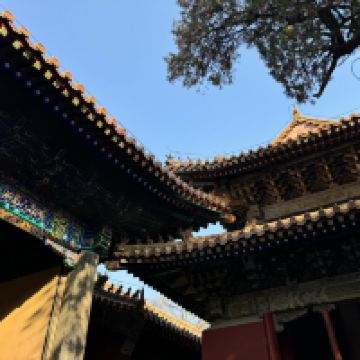 評論圖片 8