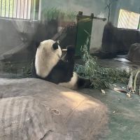 評論圖片 6