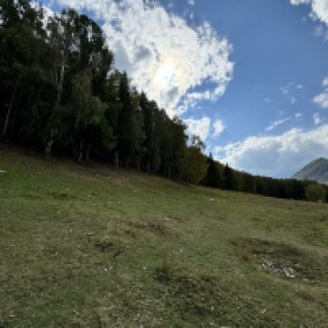 評論圖片 3