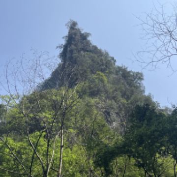 評論圖片 8