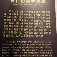 評論圖片 6