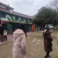 評論圖片 3