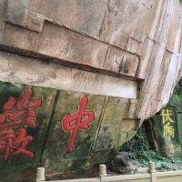 評論圖片 7