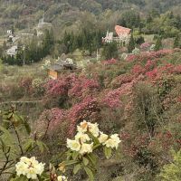 評論圖片 8