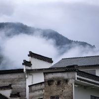 評論圖片 7