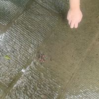 評論圖片 2
