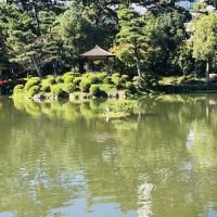 評論圖片 1