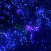 評論圖片 5
