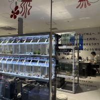 評論圖片 3