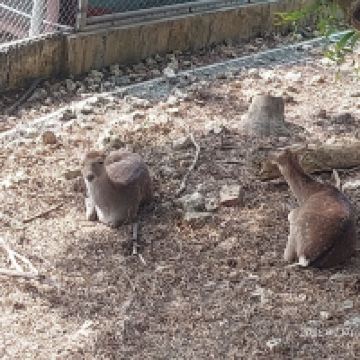 評論圖片 4