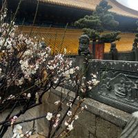 評論圖片 5
