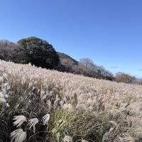 評論圖片 4