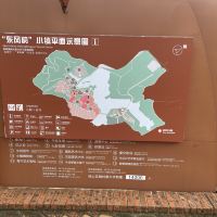 評論圖片 2