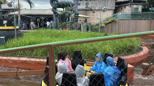 review picture