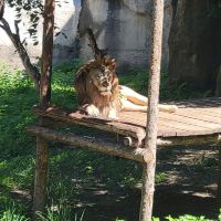 評論圖片 9