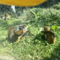 評論圖片 3