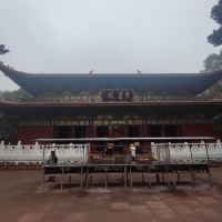 評論圖片 1