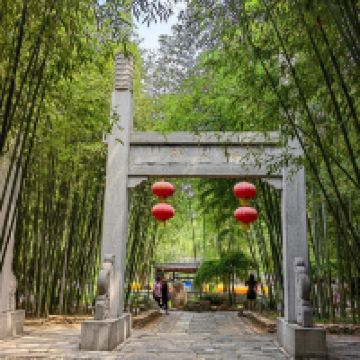 評論圖片 8