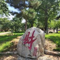評論圖片 6