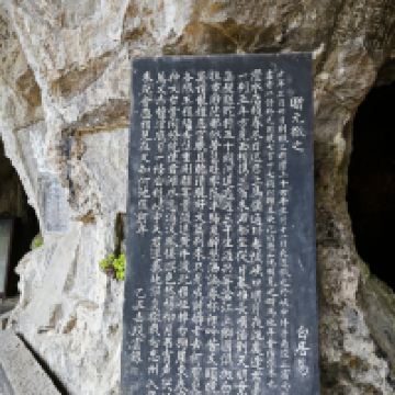 評論圖片 6