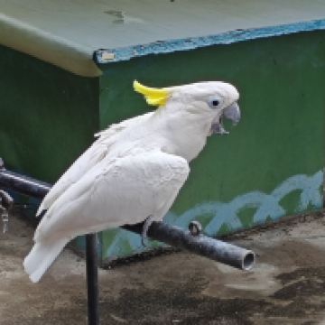 評論圖片 4