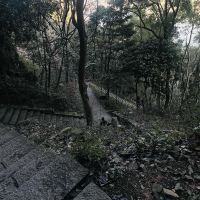 評論圖片 9