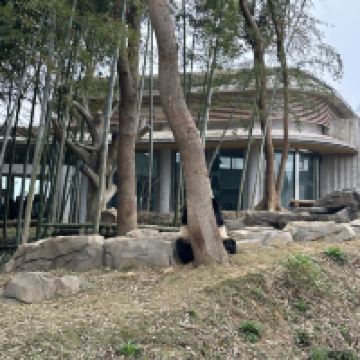 評論圖片 5