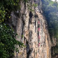 評論圖片 3