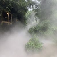 評論圖片 5