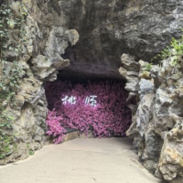 評論圖片 3
