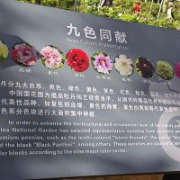 評論圖片 5