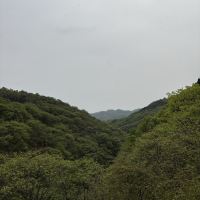 評論圖片 8