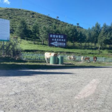 評論圖片 1