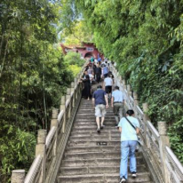 評論圖片 7