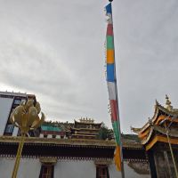 評論圖片 2
