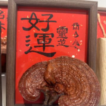 評論圖片 1