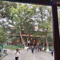 評論圖片 1