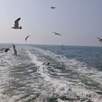 評論圖片 2