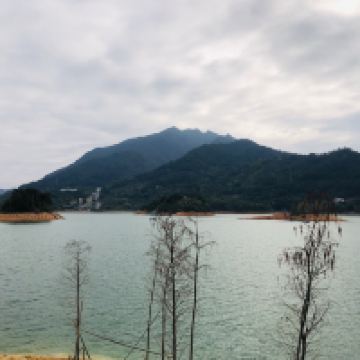 評論圖片 3