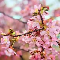 評論圖片 3