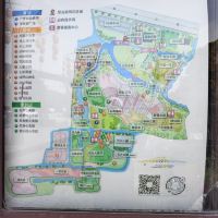 評論圖片 1