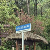 評論圖片 3