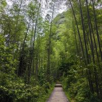 評論圖片 3