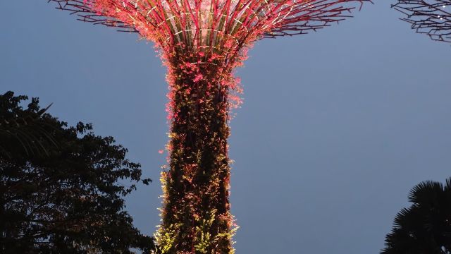review picture